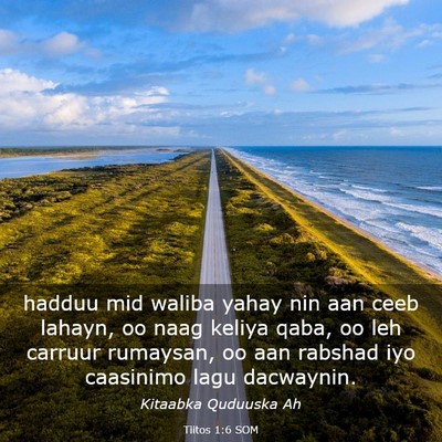 Picture 03 - Tiitos 1:6 SOM - hadduu mid waliba yahay nin aan ceeb lahayn, oo - Bible Verse Picture