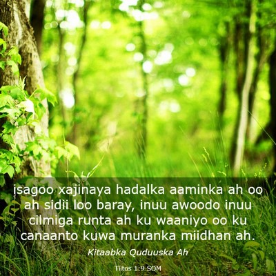 Picture 03 - Tiitos 1:9 SOM - isagoo xajinaya hadalka aaminka ah oo ah sidii - Bible Verse Picture