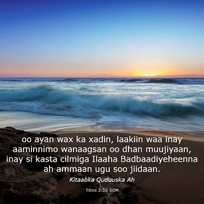 Picture 03 - Tiitos 2:10 SOM - oo ayan wax ka xadin, laakiin waa inay aaminnimo - Bible Verse Picture