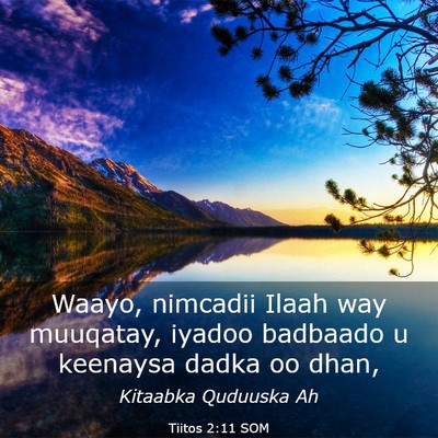 Picture 03 - Tiitos 2:11 SOM - Waayo, nimcadii Ilaah way muuqatay, iyadoo - Bible Verse Picture