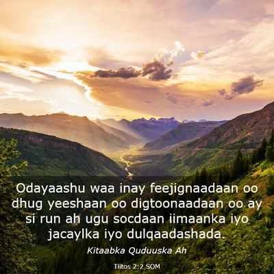 Picture 03 - Tiitos 2:2 SOM - Odayaashu waa inay feejignaadaan oo dhug yeeshaan - Bible Verse Picture