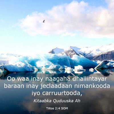 Picture 03 - Tiitos 2:4 SOM - Oo waa inay naagaha dhallintayar baraan inay - Bible Verse Picture