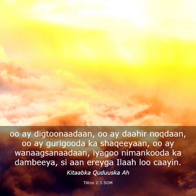 Picture 03 - Tiitos 2:5 SOM - oo ay digtoonaadaan, oo ay daahir noqdaan, oo ay - Bible Verse Picture