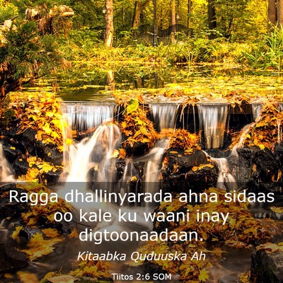 Picture 03 - Tiitos 2:6 SOM - Ragga dhallinyarada ahna sidaas oo kale ku waani - Bible Verse Picture