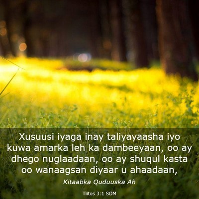 Picture 03 - Tiitos 3:1 SOM - Xusuusi iyaga inay taliyayaasha iyo kuwa amarka - Bible Verse Picture