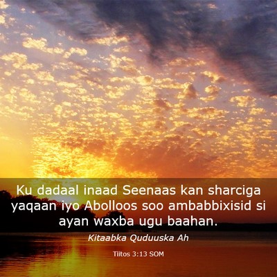 Picture 03 - Tiitos 3:13 SOM - Ku dadaal inaad Seenaas kan sharciga yaqaan iyo - Bible Verse Picture