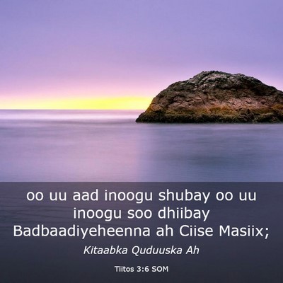 Picture 03 - Tiitos 3:6 SOM - oo uu aad inoogu shubay oo uu inoogu soo dhiibay - Bible Verse Picture