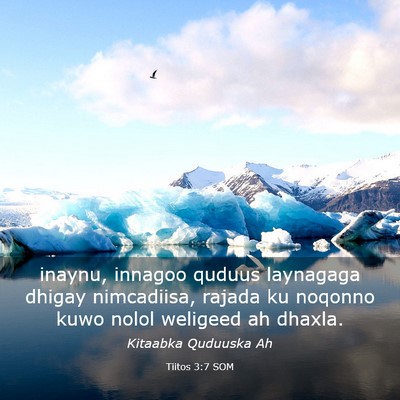 Picture 03 - Tiitos 3:7 SOM - inaynu, innagoo quduus laynagaga dhigay - Bible Verse Picture