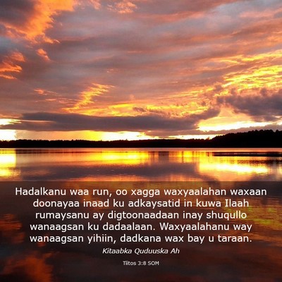 Picture 03 - Tiitos 3:8 SOM - Hadalkanu waa run, oo xagga waxyaalahan waxaan - Bible Verse Picture