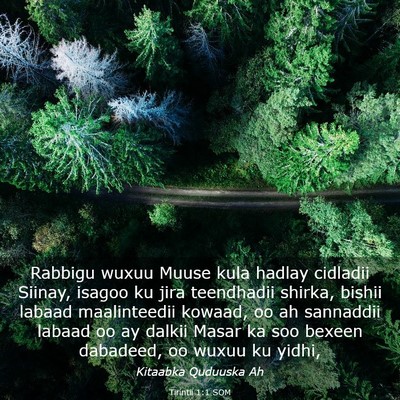 Picture 03 - Tirintii 1:1 SOM - Rabbigu wuxuu Muuse kula hadlay cidladii Siinay, - Bible Verse Picture