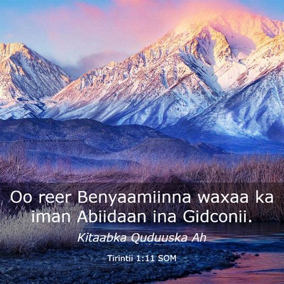 Picture 03 - Tirintii 1:11 SOM - Oo reer Benyaamiinna waxaa ka iman Abiidaan ina - Bible Verse Picture