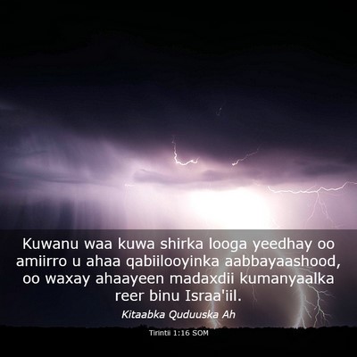 Picture 03 - Tirintii 1:16 SOM - Kuwanu waa kuwa shirka looga yeedhay oo amiirro u - Bible Verse Picture