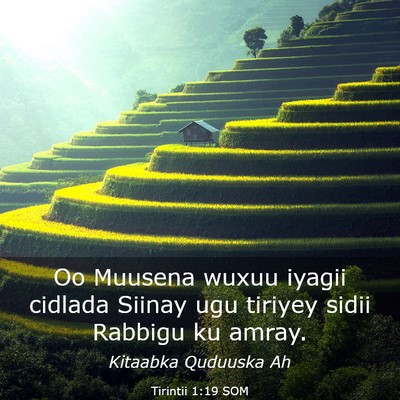 Picture 03 - Tirintii 1:19 SOM - Oo Muusena wuxuu iyagii cidlada Siinay ugu - Bible Verse Picture