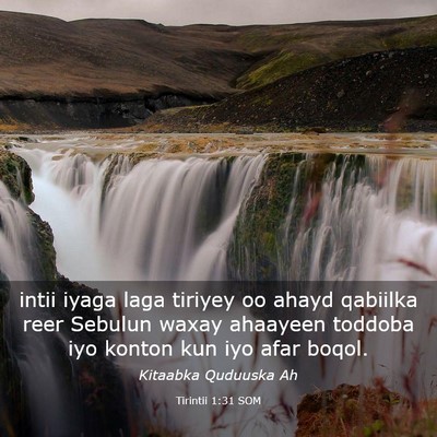 Picture 03 - Tirintii 1:31 SOM - intii iyaga laga tiriyey oo ahayd qabiilka reer - Bible Verse Picture