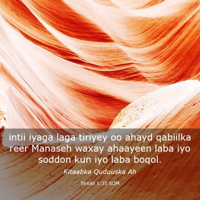 Picture 03 - Tirintii 1:35 SOM - intii iyaga laga tiriyey oo ahayd qabiilka reer - Bible Verse Picture