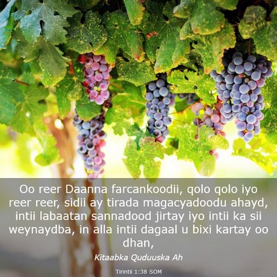 Picture 03 - Tirintii 1:38 SOM - Oo reer Daanna farcankoodii, qolo qolo iyo reer - Bible Verse Picture