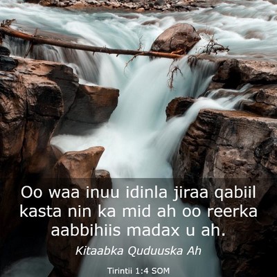 Picture 03 - Tirintii 1:4 SOM - Oo waa inuu idinla jiraa qabiil kasta nin ka mid - Bible Verse Picture