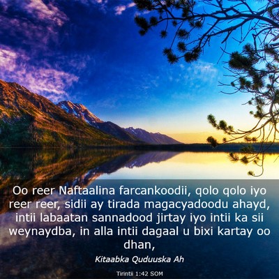 Picture 03 - Tirintii 1:42 SOM - Oo reer Naftaalina farcankoodii, qolo qolo iyo - Bible Verse Picture