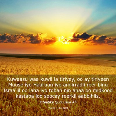 Picture 03 - Tirintii 1:44 SOM - Kuwaasu waa kuwii la tiriyey, oo ay tiriyeen - Bible Verse Picture