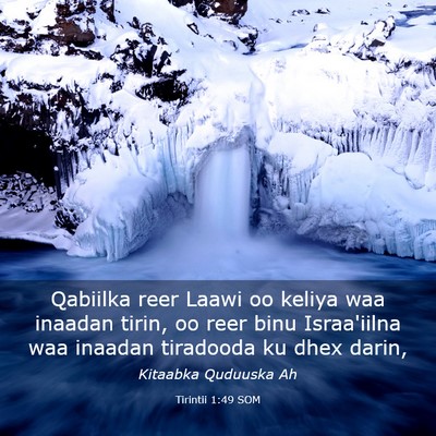 Picture 03 - Tirintii 1:49 SOM - Qabiilka reer Laawi oo keliya waa inaadan tirin, - Bible Verse Picture