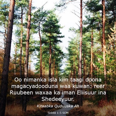 Picture 03 - Tirintii 1:5 SOM - Oo nimanka isla kiin taagi doona magacyadooduna - Bible Verse Picture