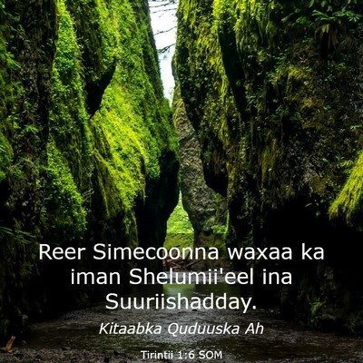 Picture 03 - Tirintii 1:6 SOM - Reer Simecoonna waxaa ka iman Shelumii'eel ina - Bible Verse Picture