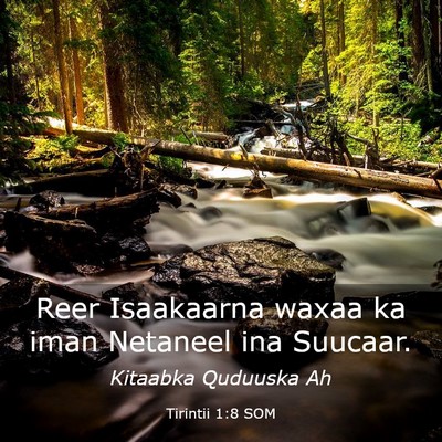 Picture 03 - Tirintii 1:8 SOM - Reer Isaakaarna waxaa ka iman Netaneel ina - Bible Verse Picture