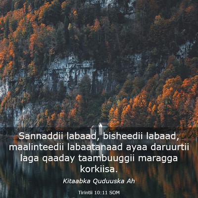 Picture 03 - Tirintii 10:11 SOM - Sannaddii labaad, bisheedii labaad, maalinteedii - Bible Verse Picture