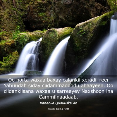 Picture 03 - Tirintii 10:14 SOM - Oo horta waxaa baxay calankii xeradii reer - Bible Verse Picture