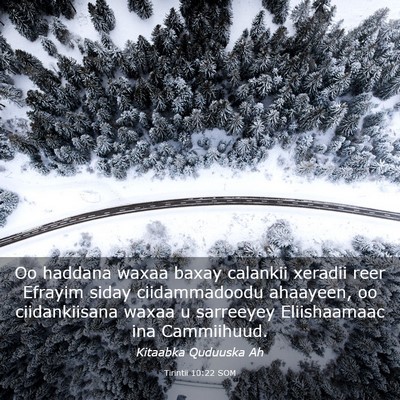 Picture 03 - Tirintii 10:22 SOM - Oo haddana waxaa baxay calankii xeradii reer - Bible Verse Picture