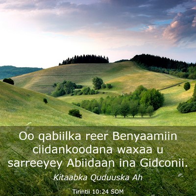 Picture 03 - Tirintii 10:24 SOM - Oo qabiilka reer Benyaamiin ciidankoodana waxaa u - Bible Verse Picture
