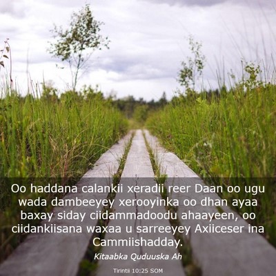 Picture 03 - Tirintii 10:25 SOM - Oo haddana calankii xeradii reer Daan oo ugu wada - Bible Verse Picture