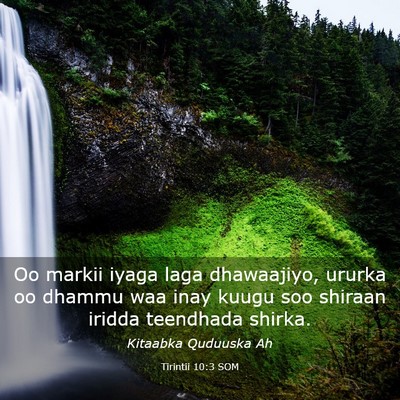 Picture 03 - Tirintii 10:3 SOM - Oo markii iyaga laga dhawaajiyo, ururka oo dhammu - Bible Verse Picture