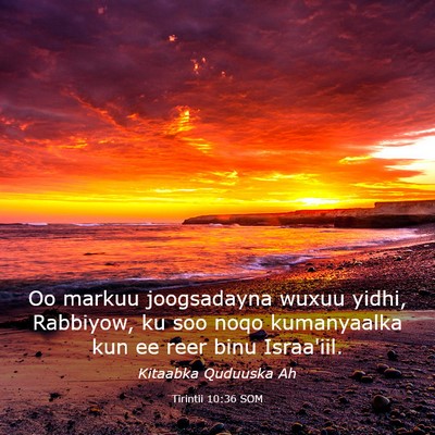 Picture 03 - Tirintii 10:36 SOM - Oo markuu joogsadayna wuxuu yidhi, Rabbiyow, ku - Bible Verse Picture