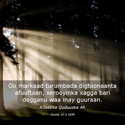 Picture 03 - Tirintii 10:5 SOM - Oo markaad turumbada digtoonaanta afuuftaan, - Bible Verse Picture