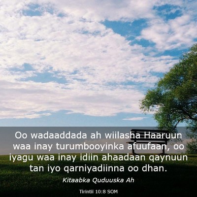 Picture 03 - Tirintii 10:8 SOM - Oo wadaaddada ah wiilasha Haaruun waa inay - Bible Verse Picture