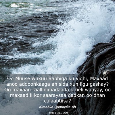 Picture 03 - Tirintii 11:11 SOM - Oo Muuse wuxuu Rabbiga ku yidhi, Maxaad anoo - Bible Verse Picture