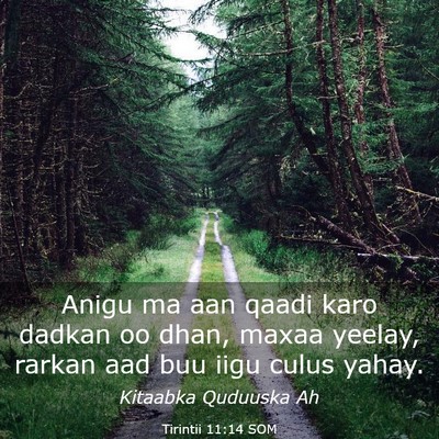 Picture 03 - Tirintii 11:14 SOM - Anigu ma aan qaadi karo dadkan oo dhan, maxaa - Bible Verse Picture