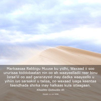 Picture 03 - Tirintii 11:16 SOM - Markaasaa Rabbigu Muuse ku yidhi, Waxaad ii soo - Bible Verse Picture