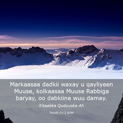 Picture 03 - Tirintii 11:2 SOM - Markaasaa dadkii waxay u qayliyeen Muuse, - Bible Verse Picture
