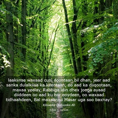 Picture 03 - Tirintii 11:20 SOM - laakiinse waxaad cuni doontaan bil dhan, jeer aad - Bible Verse Picture
