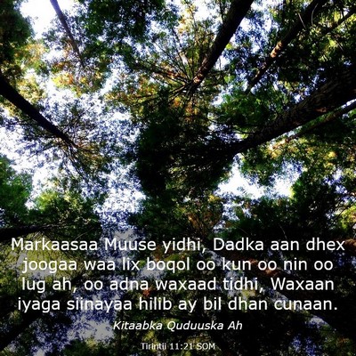 Picture 03 - Tirintii 11:21 SOM - Markaasaa Muuse yidhi, Dadka aan dhex joogaa waa - Bible Verse Picture
