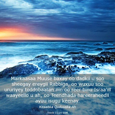 Picture 03 - Tirintii 11:24 SOM - Markaasaa Muuse baxay oo dadkii u soo sheegay - Bible Verse Picture