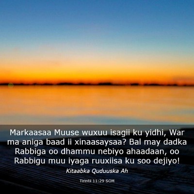 Picture 03 - Tirintii 11:29 SOM - Markaasaa Muuse wuxuu isagii ku yidhi, War ma - Bible Verse Picture