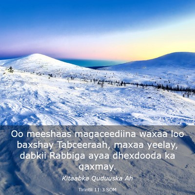 Picture 03 - Tirintii 11:3 SOM - Oo meeshaas magaceediina waxaa loo baxshay - Bible Verse Picture