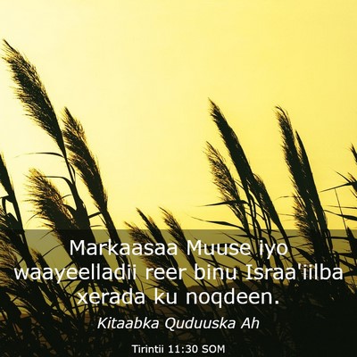 Picture 03 - Tirintii 11:30 SOM - Markaasaa Muuse iyo waayeelladii reer binu - Bible Verse Picture
