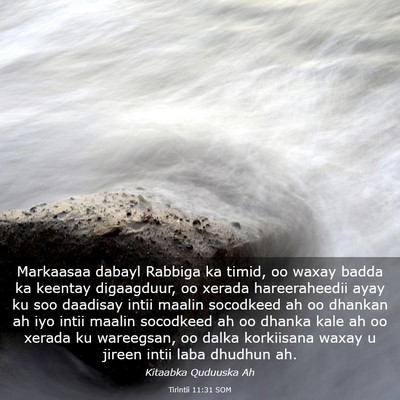 Picture 03 - Tirintii 11:31 SOM - Markaasaa dabayl Rabbiga ka timid, oo waxay badda - Bible Verse Picture