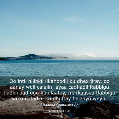 Picture 03 - Tirintii 11:33 SOM - Oo intii hilibkii ilkahoodii ku dhex jiray, oo - Bible Verse Picture