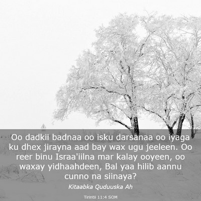 Picture 03 - Tirintii 11:4 SOM - Oo dadkii badnaa oo isku darsanaa oo iyaga ku - Bible Verse Picture