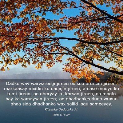 Picture 03 - Tirintii 11:8 SOM - Dadku way warwareegi jireen oo soo urursan - Bible Verse Picture